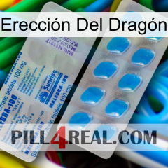 Erección Del Dragón new15